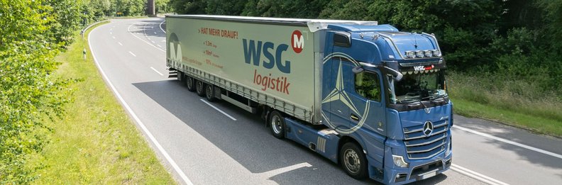 MEIDEL WSG LKW im Wald